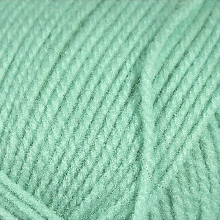 Пряжа "Надежда" 30% шерсть, 70% акрил 220м/100гр (025 мята)
Пряжа "Надежда" 30% шерсть, 70% акрил 220м/100гр (025 мята)