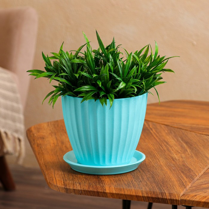 Горшок для цветов "Калифорния", бирюза, керамика, 1.3 л
Горшок для цветов "Калифорния", бирюза, керамика, 1.3 л