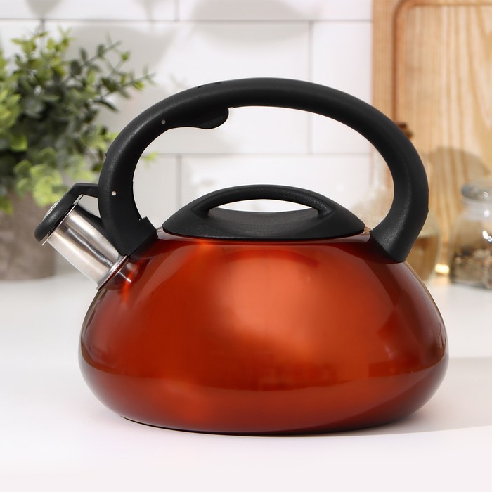Чайник со свистком из нержавеющей стали «Таун», 3 л, цвет медный
Чайник со свистком из нержавеющей стали «Таун», 3 л, цвет медный
