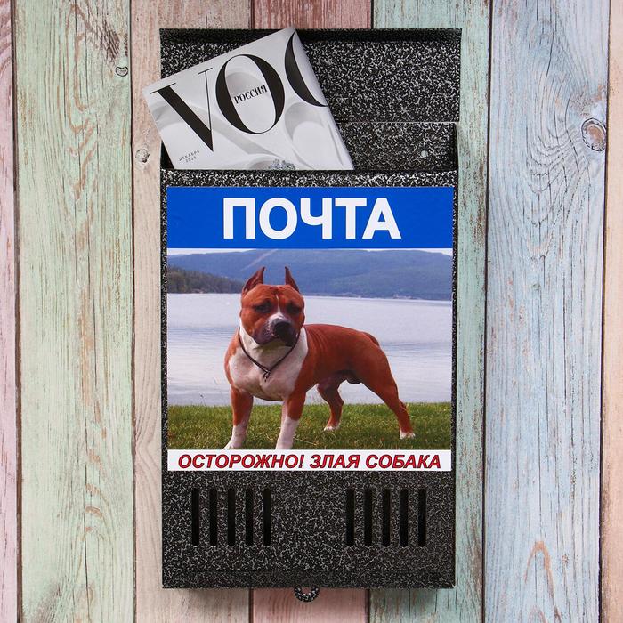 Ящик почтовый без замка (с петлёй), вертикальный, «Фото», МИКС, серебристый
Ящик почтовый без замка (с петлёй), вертикальный, «Фото», МИКС, серебристый