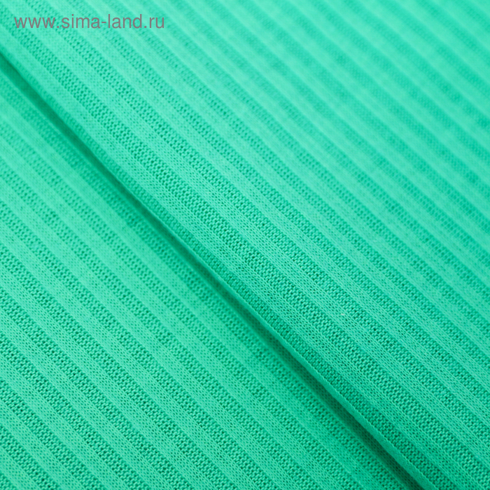 Ткань для пэчворка трикотаж «Мята», 50 × 50 см
Ткань для пэчворка трикотаж «Мята», 50 × 50 см