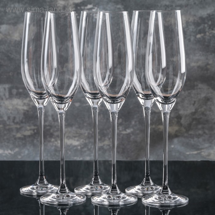 Набор бокалов для шампанского Celebration, 210 мл, 6 шт
Набор бокалов для шампанского Celebration, 210 мл, 6 шт