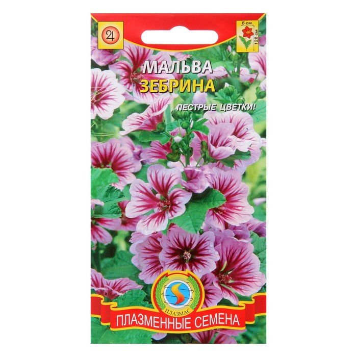 Семена цветов Мальва "Зебрина", Мн, 10 шт
Семена цветов Мальва "Зебрина", Мн, 10 шт