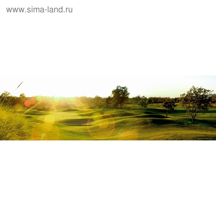 фото Кухонный фартук 2000х600 мм, закалённое стекло 4 мм, 6 отверстий под крепёж, цвет пр0257