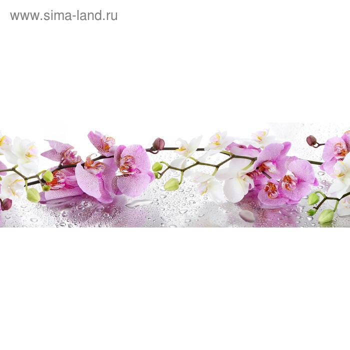 фото Кухонный фартук 2000х600 мм, закалённое стекло 4 мм, 6 отверстий под крепёж, цвет цв0247