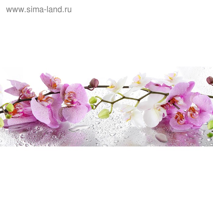 фото Кухонный фартук 1600х600 мм, закалённое стекло 4 мм, 6 отверстий под крепёж, цвет цв0247