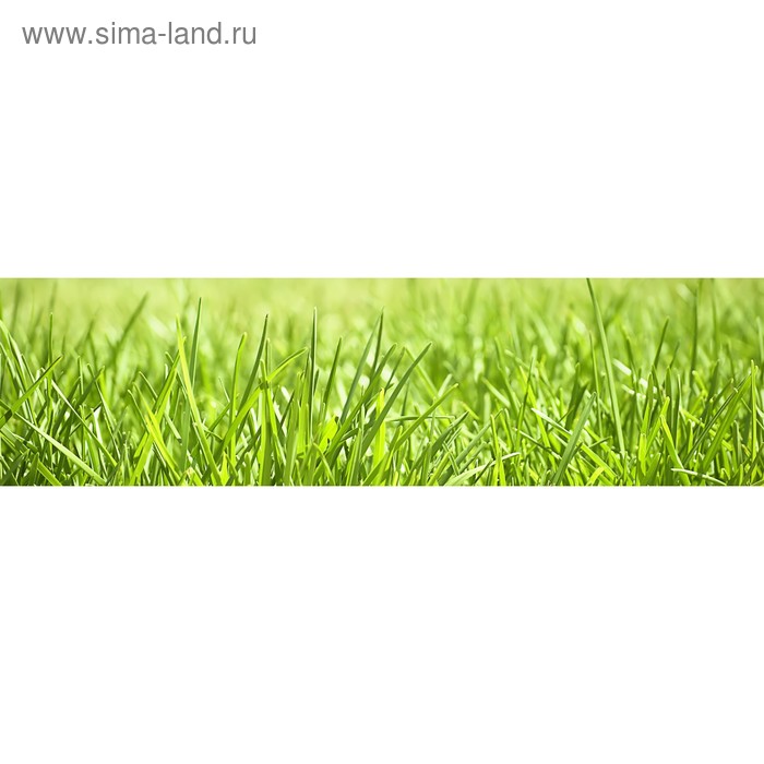 фото Кухонный фартук 2200х600 мм, закалённое стекло 4 мм, 6 отверстий под крепёж, цвет ра0041