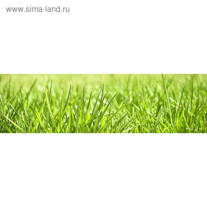 фото Кухонный фартук 2100х600 мм, закалённое стекло 4 мм, 6 отверстий под крепёж, цвет ра0041