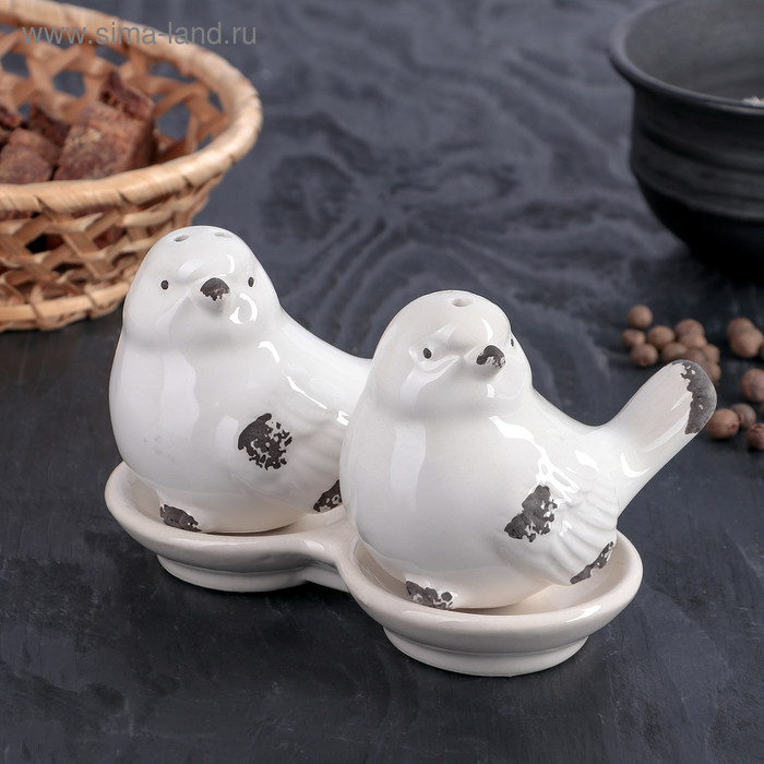 Набор для специй «Птички», 2 предмета: солонка, перечница, 100 мл
Набор для специй «Птички», 2 предмета: солонка, перечница, 100 мл