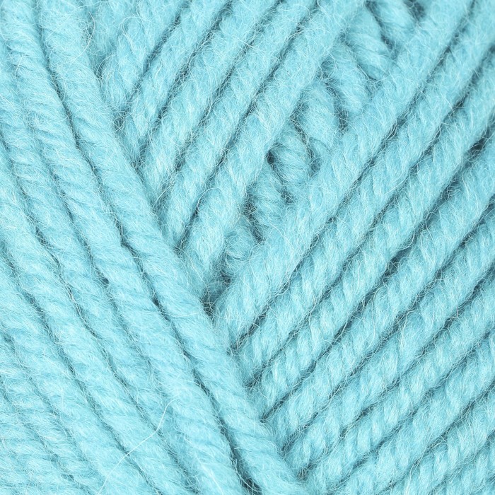 Пряжа "Народная традиция" 30% шерсть 70% акрил 100м/100гр (223 св. бирюза)
Пряжа "Народная традиция" 30% шерсть 70% акрил 100м/100гр (223 св. бирюза)