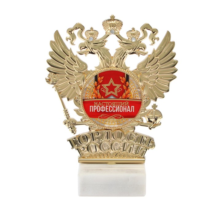 Фигура «Настоящий профессионал», 13,5 х 10 см
Фигура «Настоящий профессионал», 13,5 х 10 см