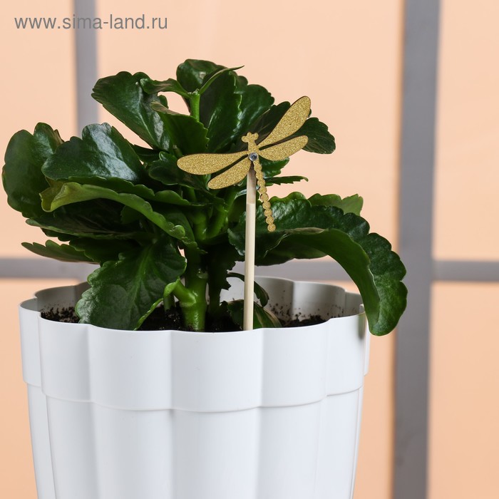 Декоративный штекер «Стрекоза», 7 × 14 см
Декоративный штекер «Стрекоза», 7 × 14 см