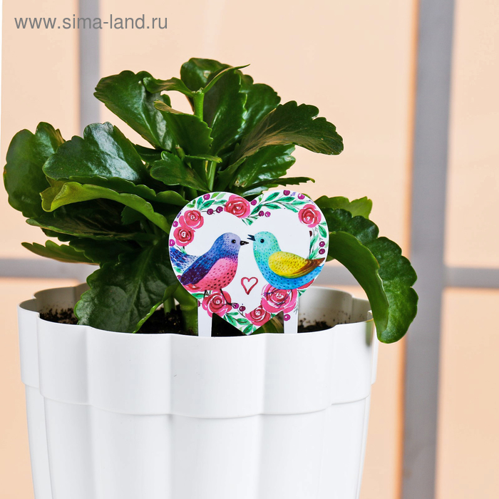 Штекер для горшков «Птички»
Штекер для горшков «Птички»