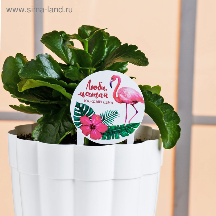 Штекер для горшков «Люби. Мечтай»
Штекер для горшков «Люби. Мечтай»