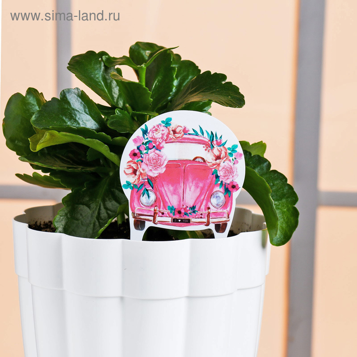 Штекер для горшков «Машина»
Штекер для горшков «Машина»