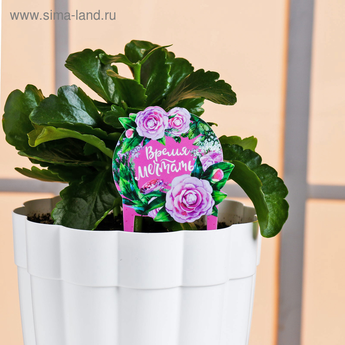 Штекер для горшков «Время мечтать»
Штекер для горшков «Время мечтать»