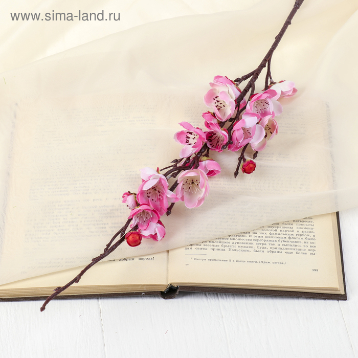 Цветы искусственные "Ветка сакуры" 4*64 см, розовый
Цветы искусственные "Ветка сакуры" 4*64 см, розовый