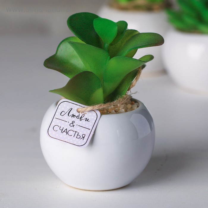 Суккулент в керамическом горшочке «Любви и счастья», 9.5 × 7.5 × 7.5 см
Суккулент в керамическом горшочке «Любви и счастья», 9.5 × 7.5 × 7.5 см