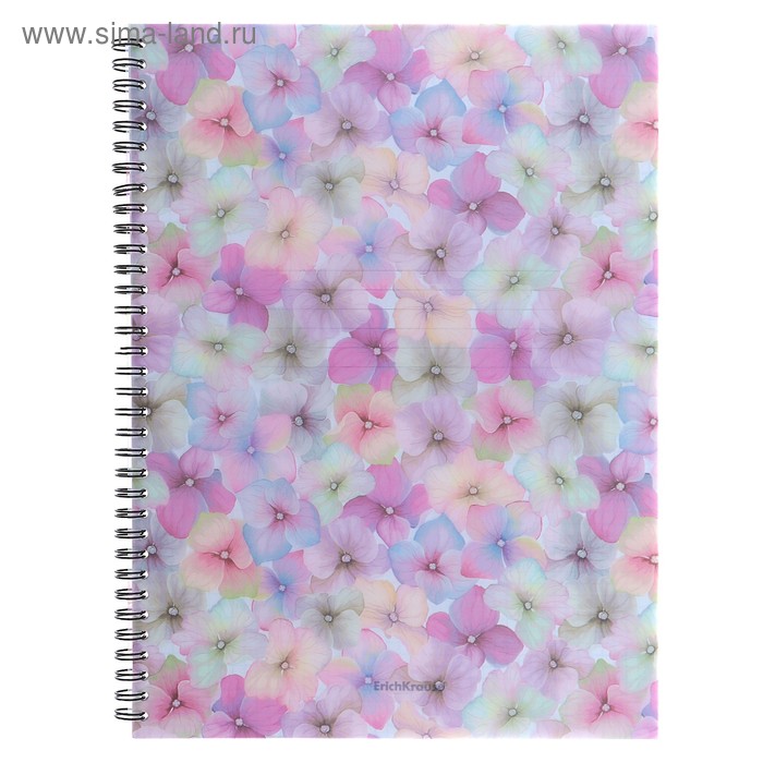 Тетрадь А4, 60 листов в клетку, на гребне Phloxes, пластиковая обложка, блок офсет, МИКС 
Тетрадь А4, 60 листов в клетку, на гребне Phloxes, пластиковая обложка, блок офсет, МИКС