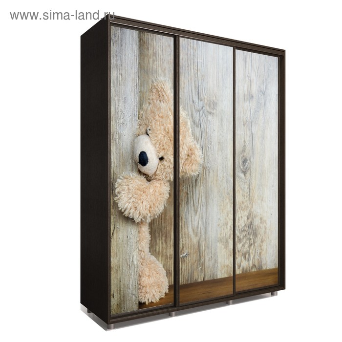 Шкаф-купе Яркий-222 2370х600х2300 Венге Темный/Детский 2
Шкаф-купе Яркий-222 2370х600х2300 Венге Темный/Детский 2