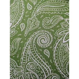 Постельное бельё La Marka 2 сп. Вост. огурцы (олив) 175х210см, 175х210см, 70х70 2шт, бязь, 105г/м, хл100%
Постельное бельё La Marka 2 сп. Вост. огурцы (олив) 175х210см, 175х210см, 70х70 2шт, бязь, 105г/м, хл100%