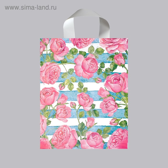 Пакет "Прима", полиэтиленовый с петлевой ручкой, 28 х 35 см, 55 мкм
Пакет "Прима", полиэтиленовый с петлевой ручкой, 28 х 35 см, 55 мкм