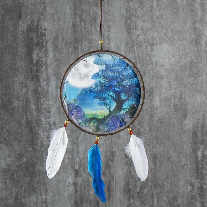 Ловец снов "Лунная ночь" диам 20 см
Ловец снов "Лунная ночь" диам 20 см