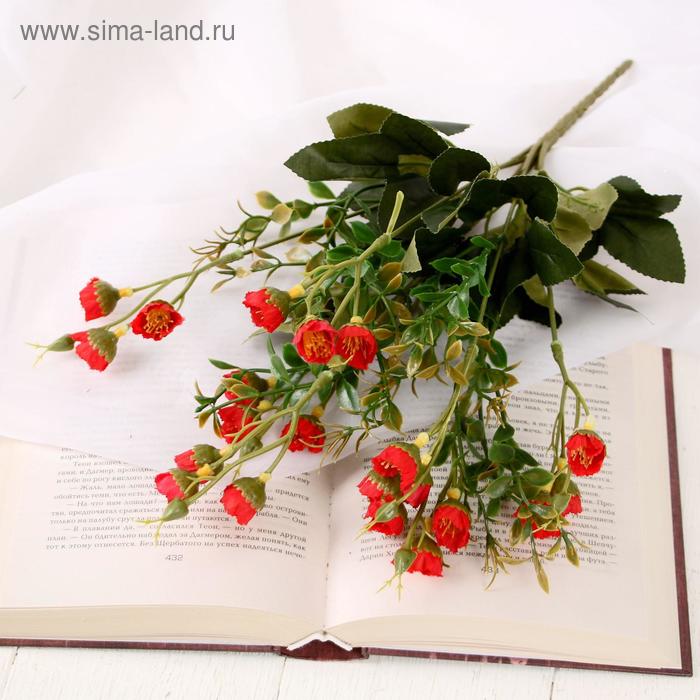 Букет "Эустома" 30 см, микс
Букет "Эустома" 30 см, микс