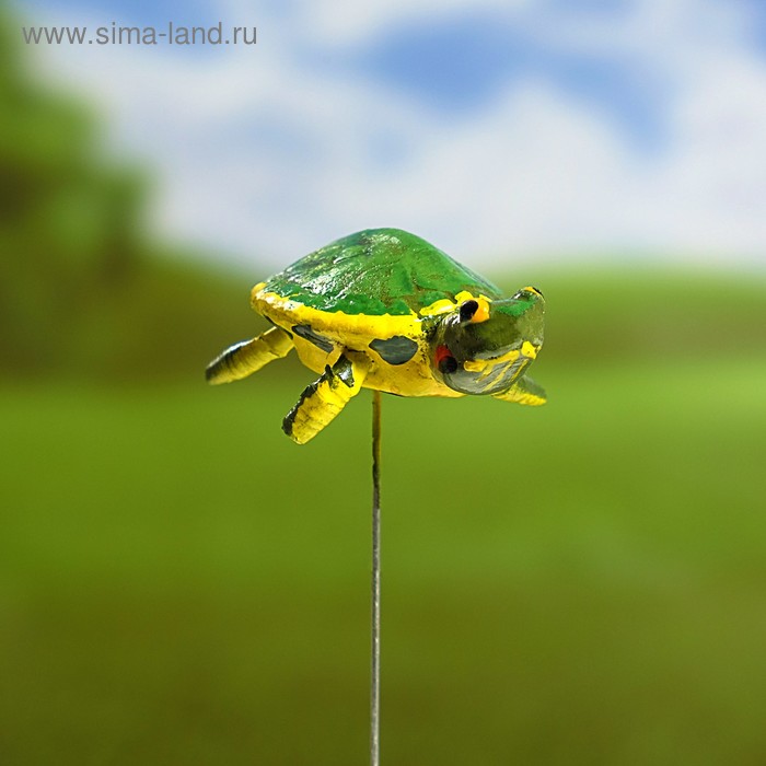 Штекер декоративный для комнатных растений "Черепаха зеленая" 4х4см, 22см
Штекер декоративный для комнатных растений "Черепаха зеленая" 4х4см, 22см