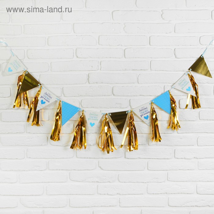 Гирлянда с тишью «Любимая, спасибо за сына», 13,5х22 см
Гирлянда с тишью «Любимая, спасибо за сына», 13,5х22 см