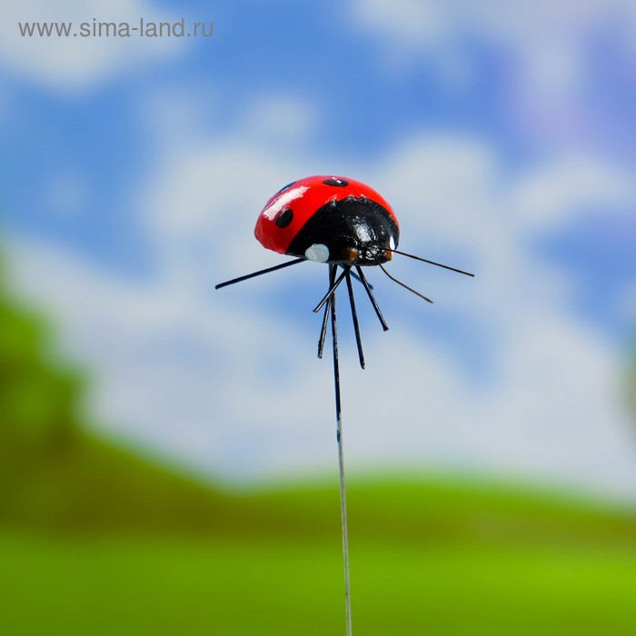 Штекер для комнатных растений "Божья коровка" 2х2,5см, 22см 
Штекер для комнатных растений "Божья коровка" 2х2,5см, 22см