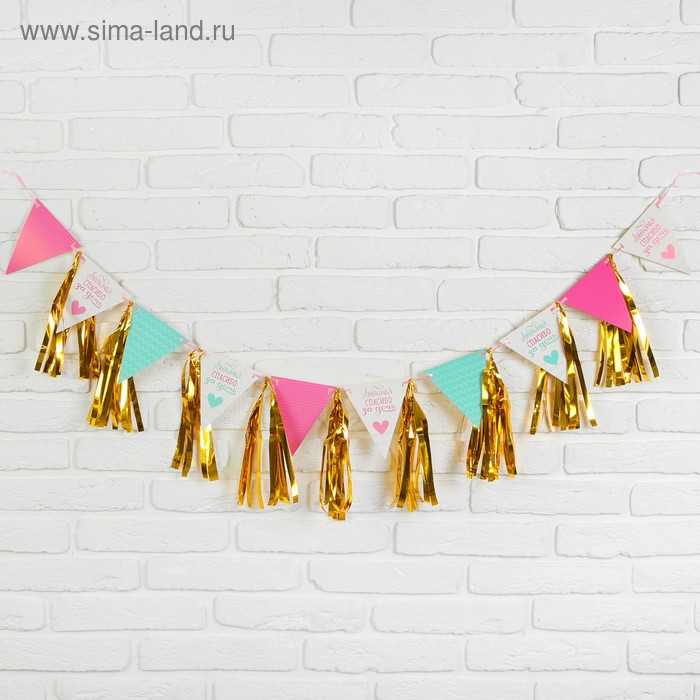 Гирлянда с тишью «Любимая, спасибо за дочь», 13,5х22 см
Гирлянда с тишью «Любимая, спасибо за дочь», 13,5х22 см