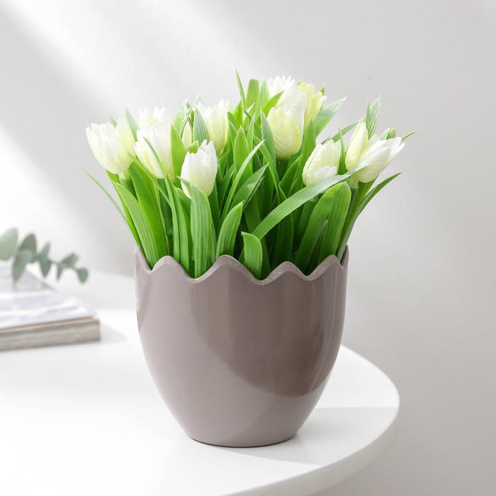 Кашпо для цветов «Скорлупа», цвет МИКС
Кашпо для цветов «Скорлупа», цвет МИКС