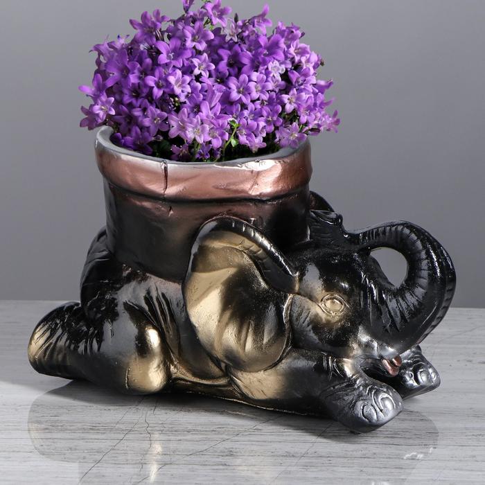 Кашпо "Слон с горшком'', чёрное, 0.5 л
Кашпо "Слон с горшком'', чёрное, 0.5 л