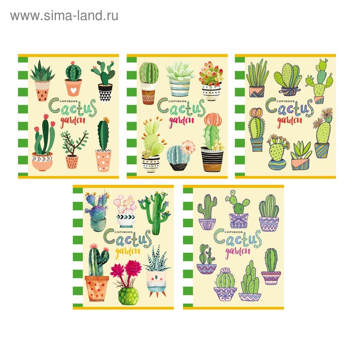Тетрадь 48 листов в клетку «Кактусы в горшочках», обложка мелованный картон, блок офсет, МИКС
Тетрадь 48 листов в клетку «Кактусы в горшочках», обложка мелованный картон, блок офсет, МИКС