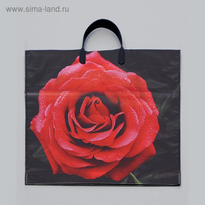 Пакет "Красная роза", полиэтиленовый с пластиковой ручкой, 100 мкм 38 х 35 см
Пакет "Красная роза", полиэтиленовый с пластиковой ручкой, 100 мкм 38 х 35 см