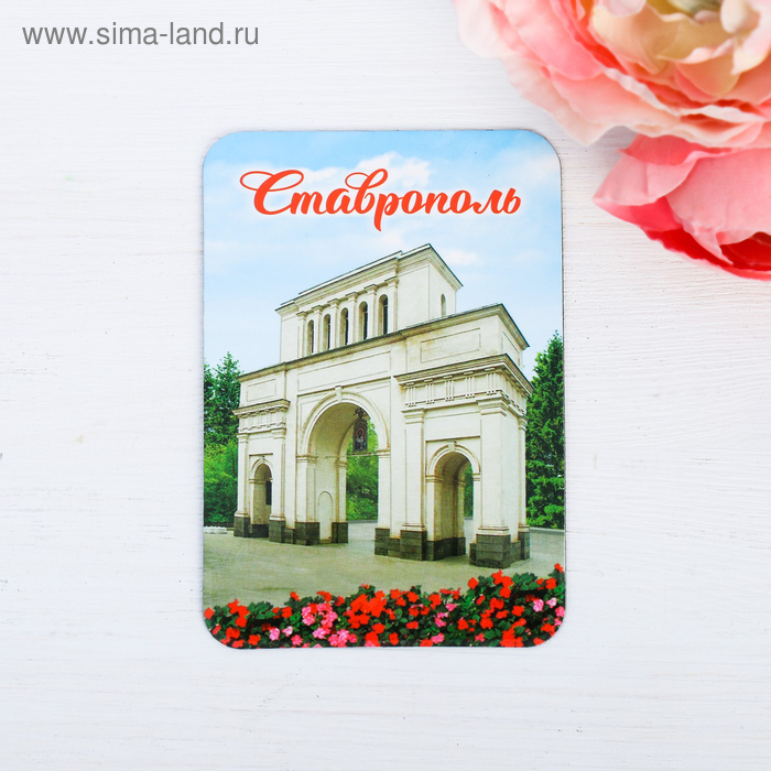 Магнит «Ставрополь. Тифлисские ворота»
Магнит «Ставрополь. Тифлисские ворота»