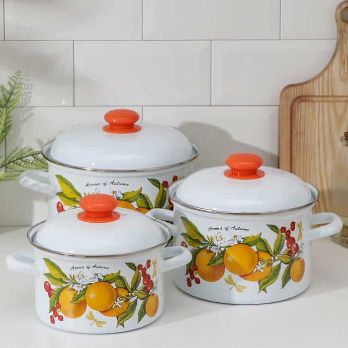 Набор кастрюль «Фруктовая фантазия», 3 предмета: 2 л, 3 л, 4,5 л
Набор кастрюль «Фруктовая фантазия», 3 предмета: 2 л, 3 л, 4,5 л