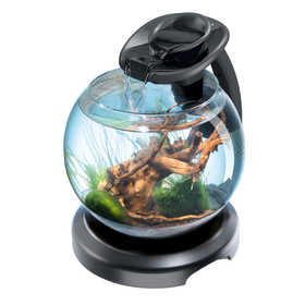 Аквариум Tetra Cascade Globe Duo Waterfall, 6,8 л, круглый с LED светильником, черный
Аквариум Tetra Cascade Globe Duo Waterfall, 6,8 л, круглый с LED светильником, черный