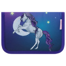 Пенал 1 секция, 2 откидные планки, 140 х 200, ткань Belmil, для девочки, Magic Horse Show
Пенал 1 секция, 2 откидные планки, 140 х 200, ткань Belmil, для девочки, Magic Horse Show