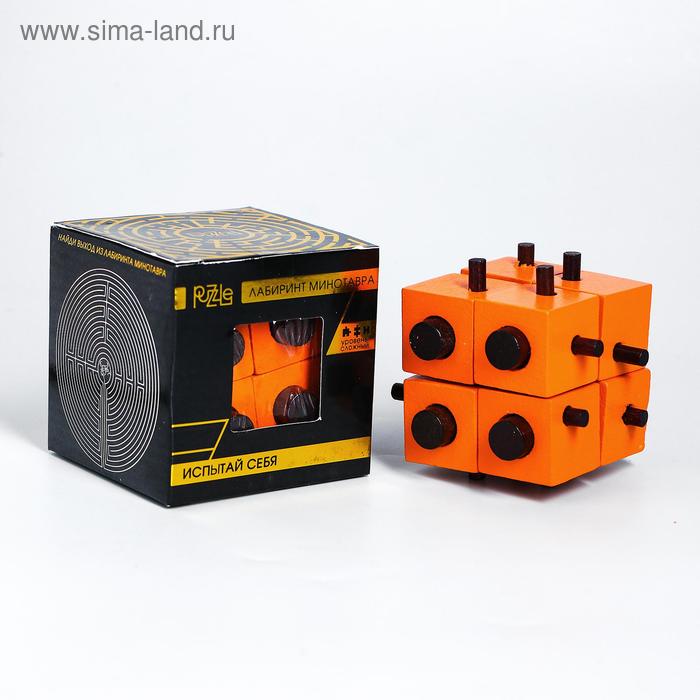 Головоломка деревянная Игры разума «Куб Деметры»
Головоломка деревянная Игры разума «Куб Деметры»