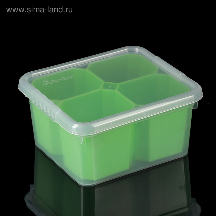 Контейнер для хранения Basic, 2 л, 4 вставки, цвет МИКС
Контейнер для хранения Basic, 2 л, 4 вставки, цвет МИКС