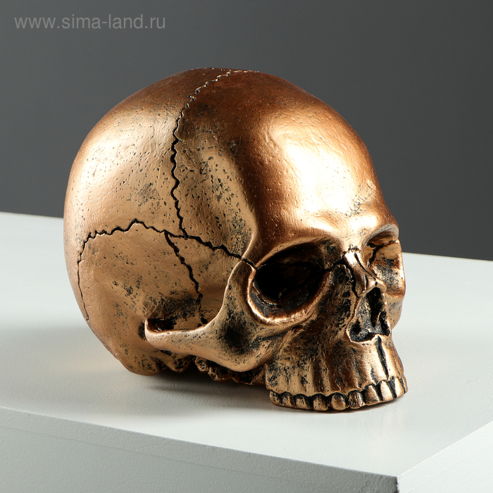 Копилка "Череп", глянец, золотистый цвет, 16 см
Копилка "Череп", глянец, золотистый цвет, 16 см