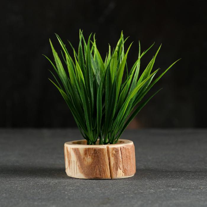 Кашпо для растения "Эко-спил", d=6 см, h=2.5 см
Кашпо для растения "Эко-спил", d=6 см, h=2.5 см