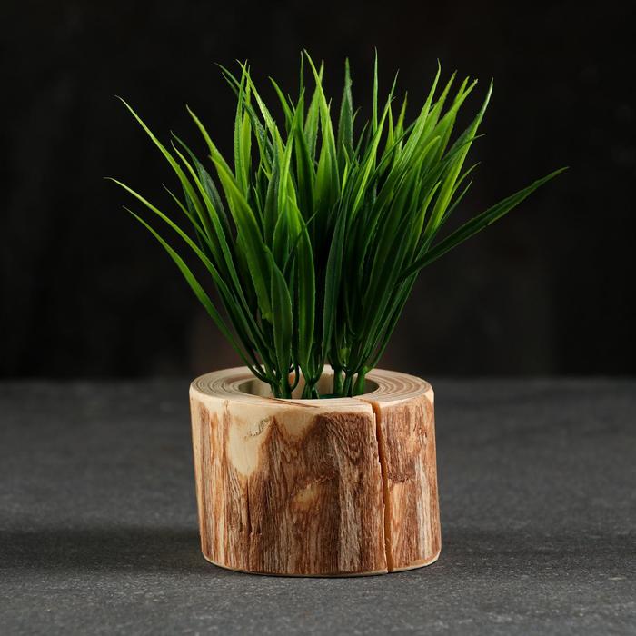 Кашпо для растения "Эко-спил", d-6 см, h-5 см, микс
Кашпо для растения "Эко-спил", d-6 см, h-5 см, микс