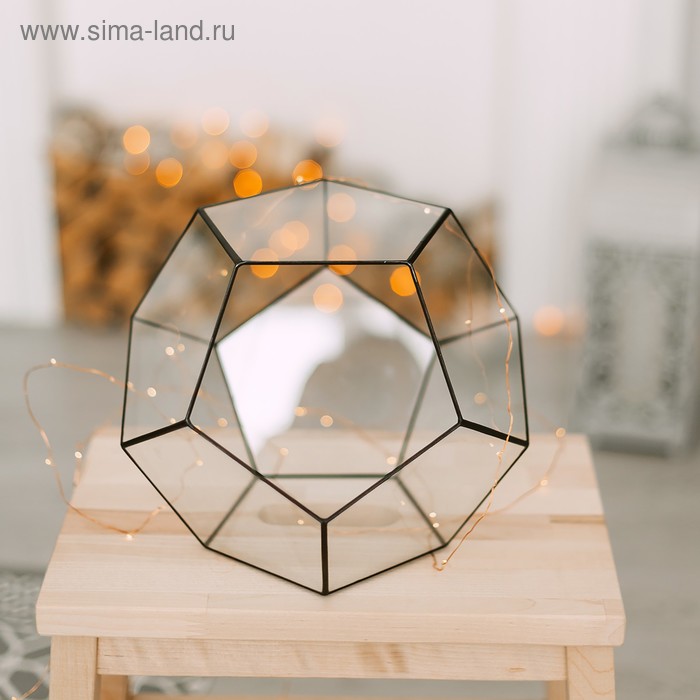 фото Флорариум "мячик" большой (швые черные)