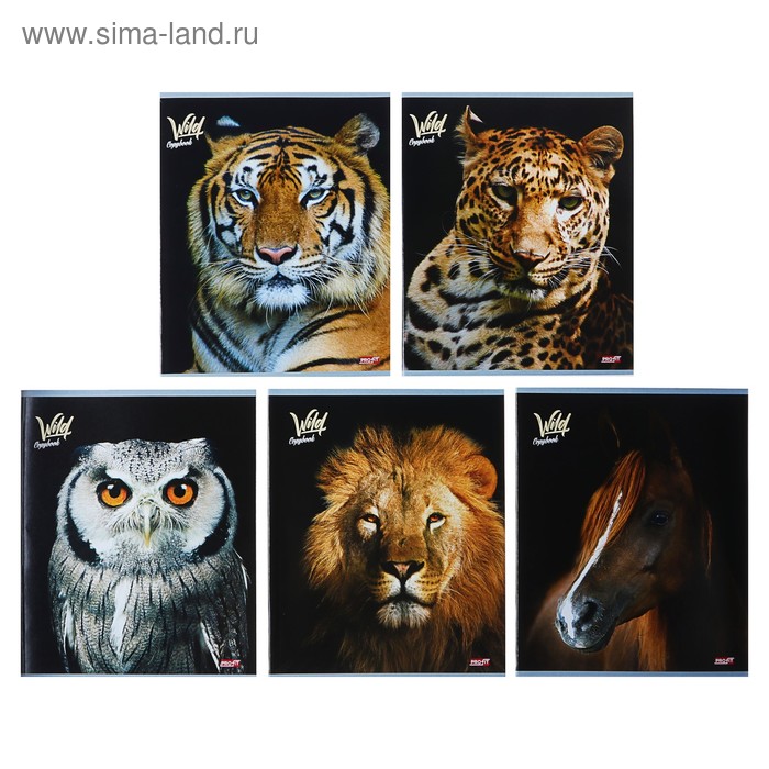 Тетрадь 48 листов клетка «Животные на чёрном фоне», обложка мелованная бумага, МИКС
Тетрадь 48 листов клетка «Животные на чёрном фоне», обложка мелованная бумага, МИКС