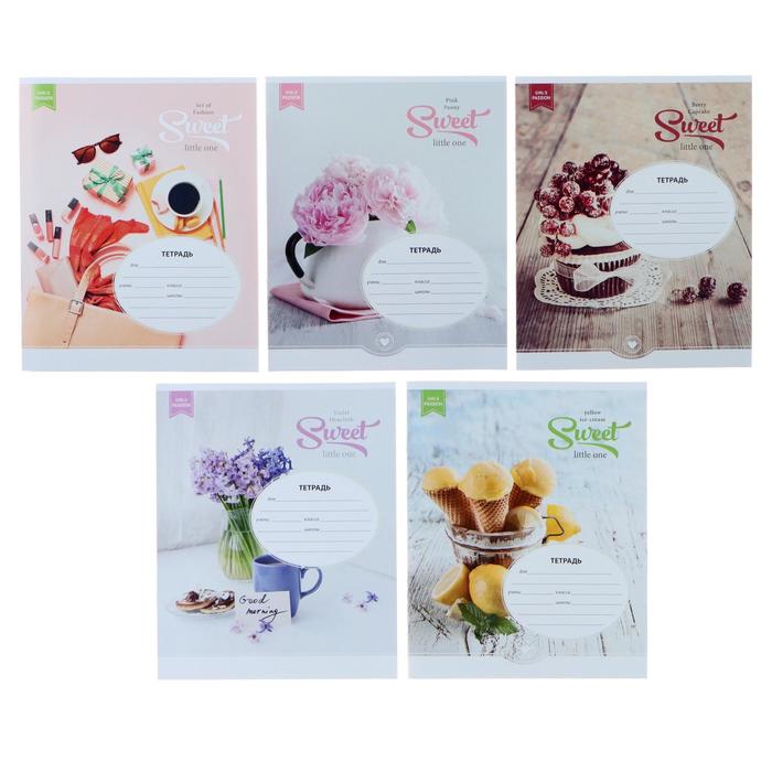 Тетрадь 18 листов в клетку «Стиль. Girl's passion», обложка мелованный картон, МИКС
Тетрадь 18 листов в клетку «Стиль. Girl's passion», обложка мелованный картон, МИКС