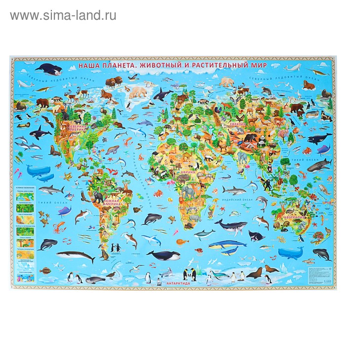 Карта Мира настенная географическая «Наша планета. Животный и растительный мир», ламинированная, 101 х 69 см
Карта Мира настенная географическая «Наша планета. Животный и растительный мир», ламинированная, 101 х 69 см