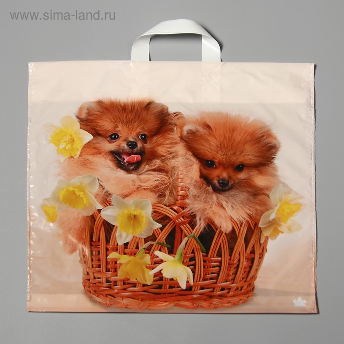 Пакет "Милые пушистики", полиэтиленовый с петлевой ручкой, 42x44 см, 70 мкм
Пакет "Милые пушистики", полиэтиленовый с петлевой ручкой, 42x44 см, 70 мкм